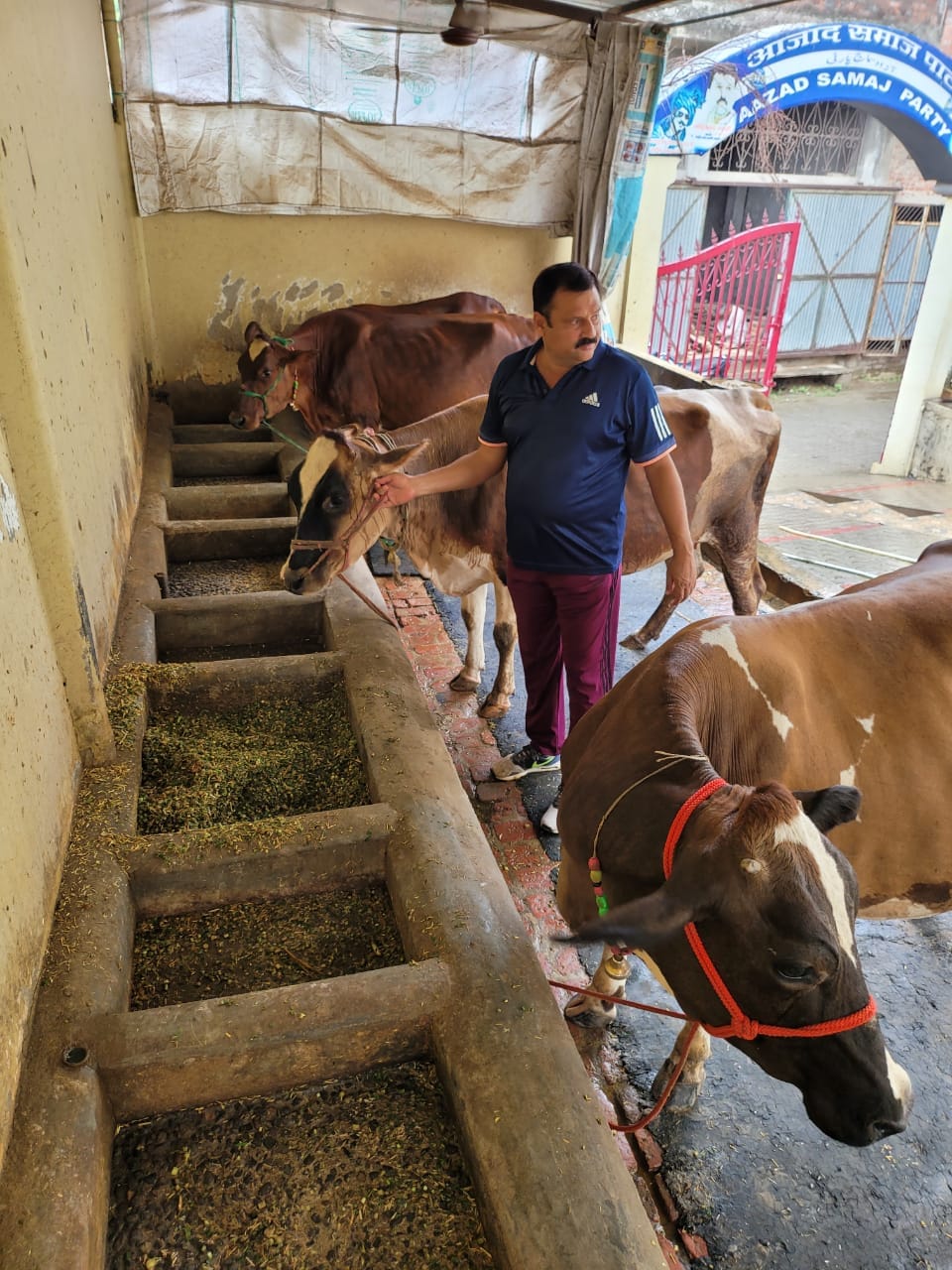 Family of former MLA engaged in the service of cows