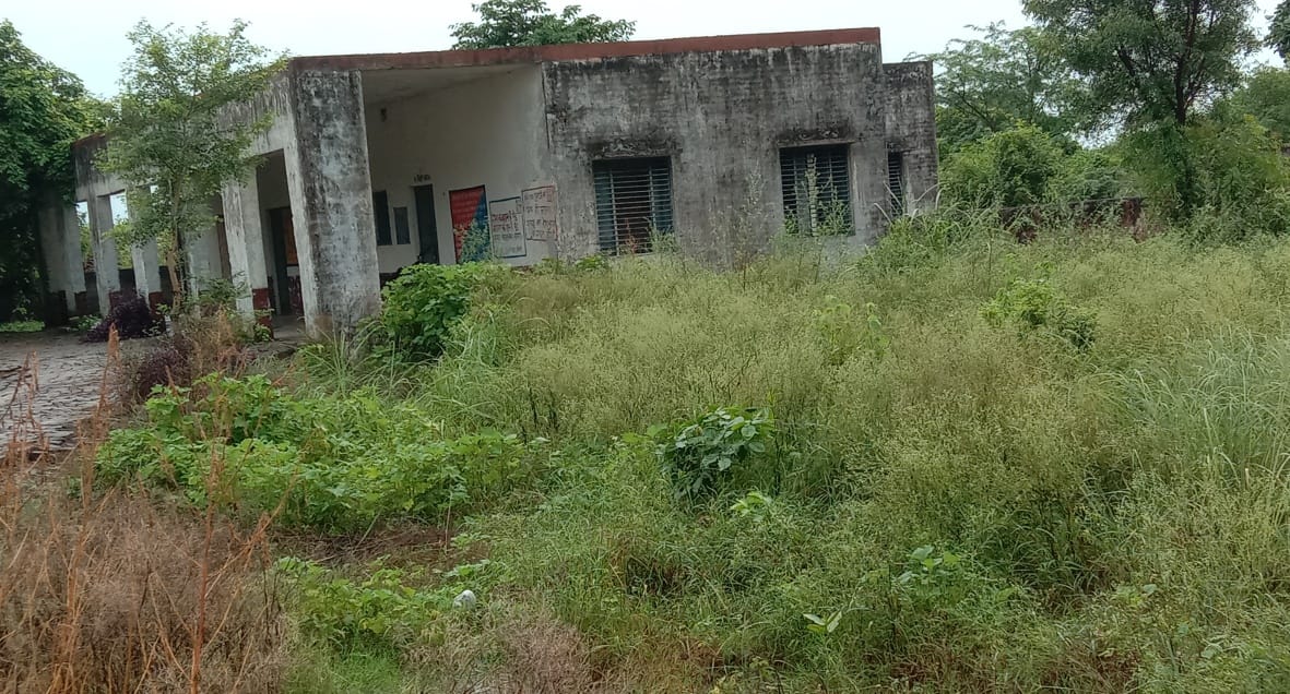 Bushes grew in the school premises, a pile of dirt