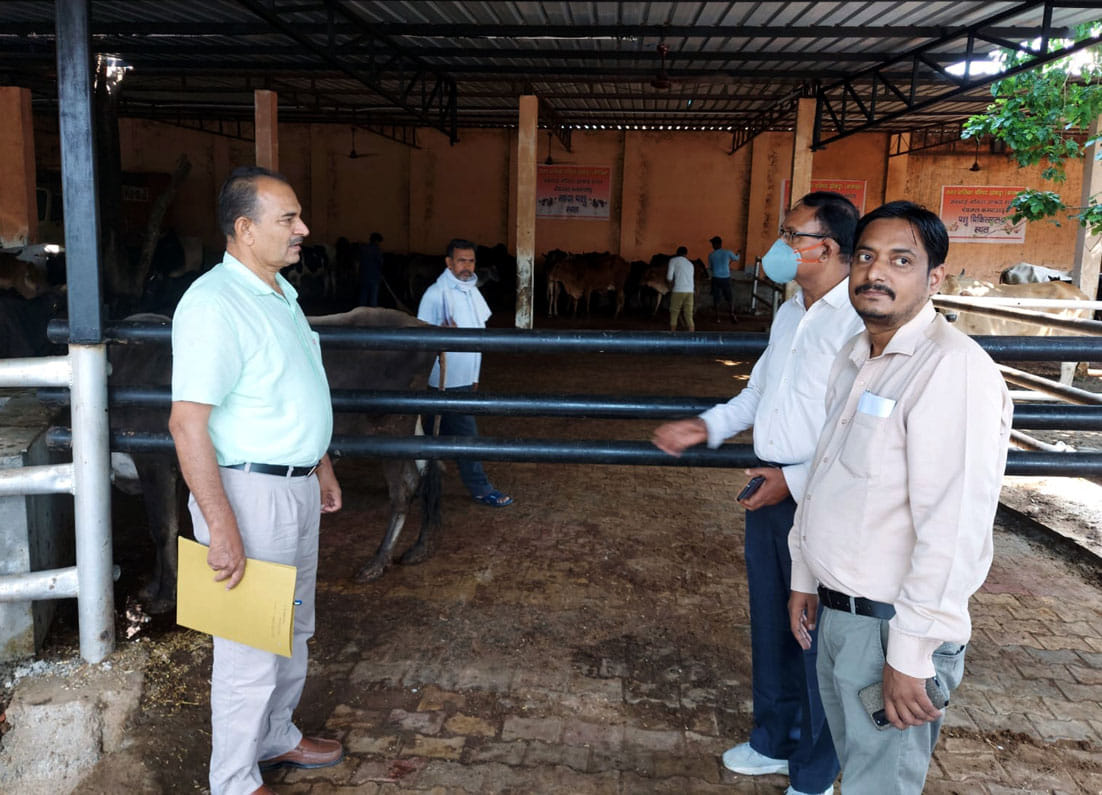 Defects found during inspection in temporary cowshed