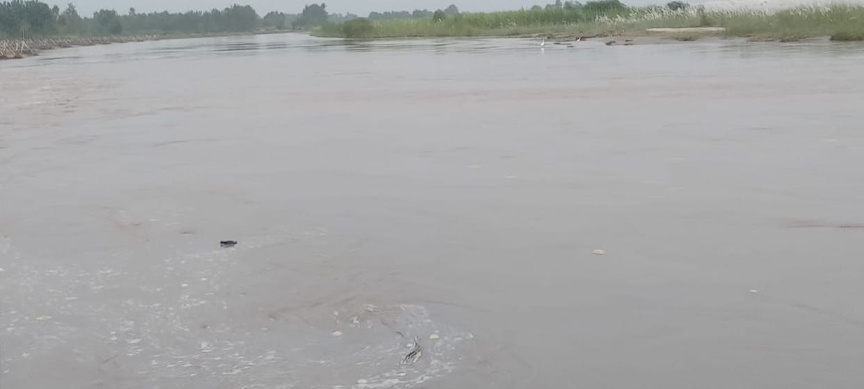 Water level of rivers increased due to rain in Dhampur area