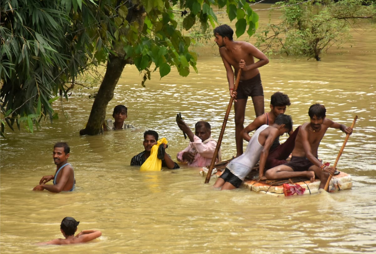 Paddy crop ruined in Cachar 15 km from Saryu river in Gorakhpur