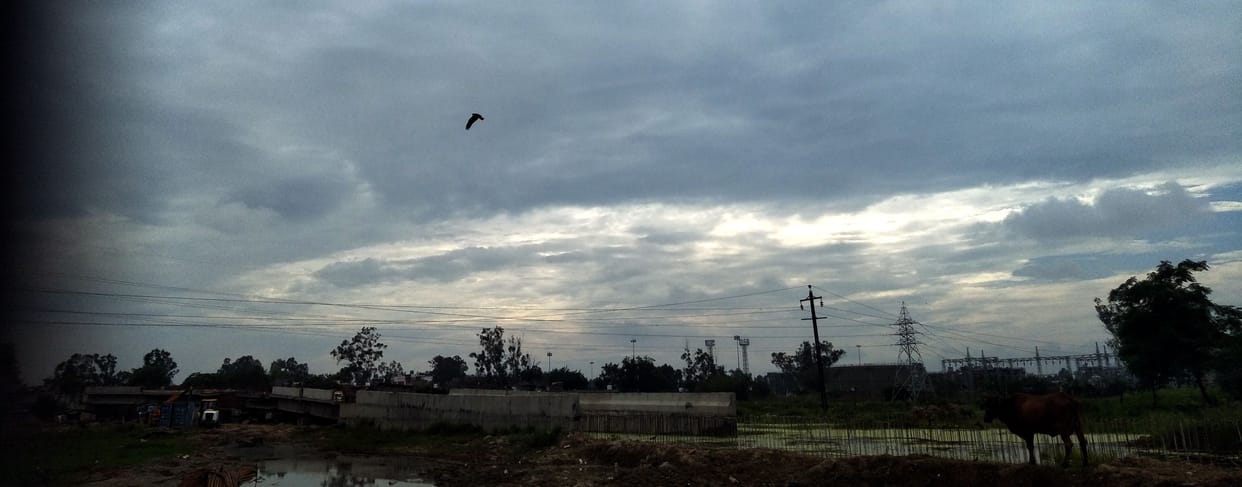 Change in weather: The weather became pleasant due to drizzle