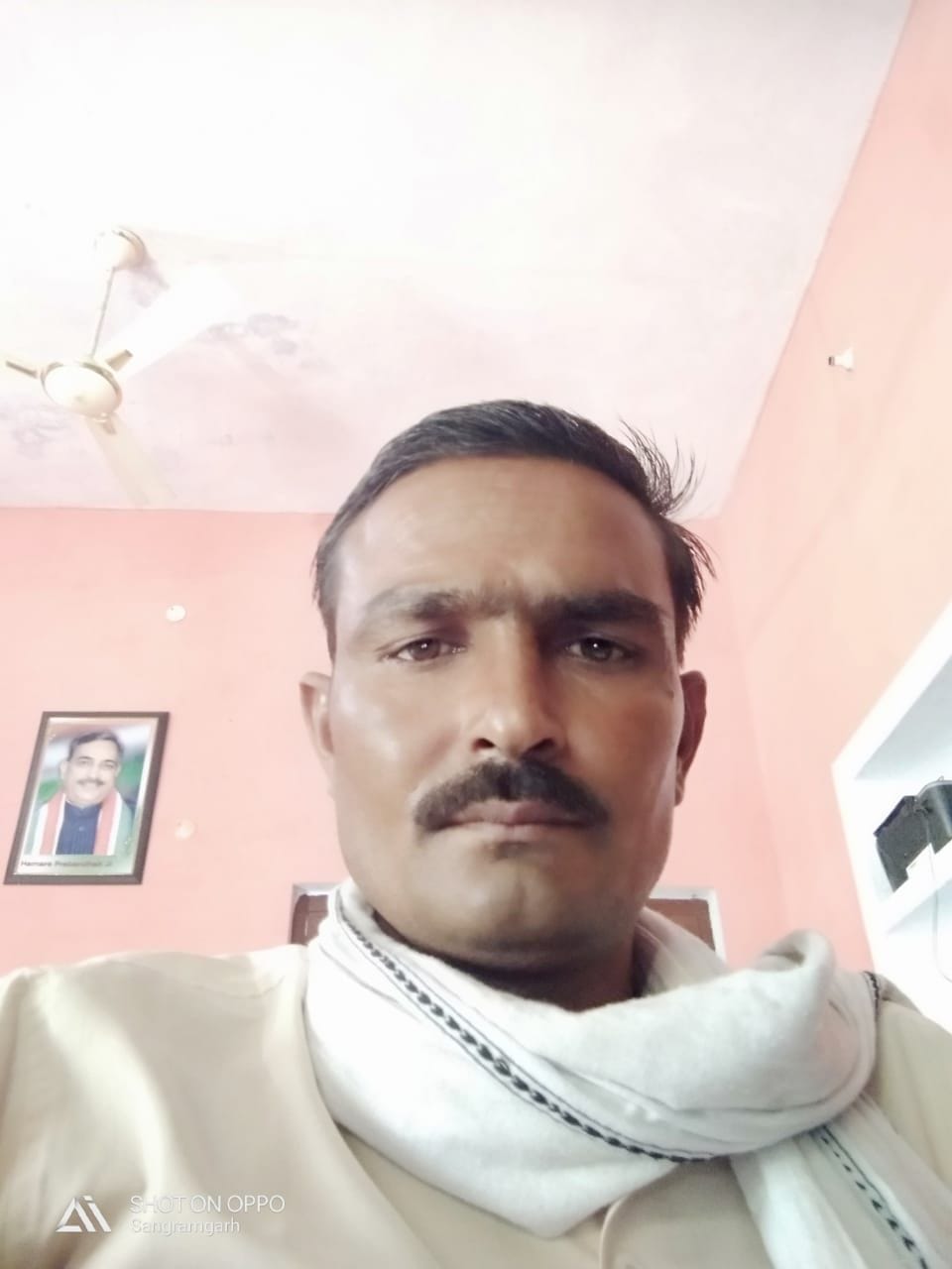 The bike collided with the animal, the death of the young man, the companion injured
