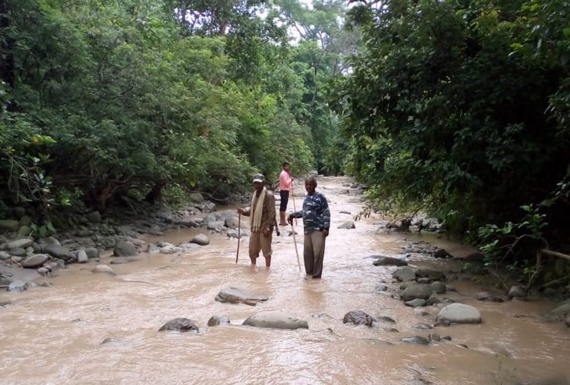 Wildlife protection becomes a challenge in rainy season