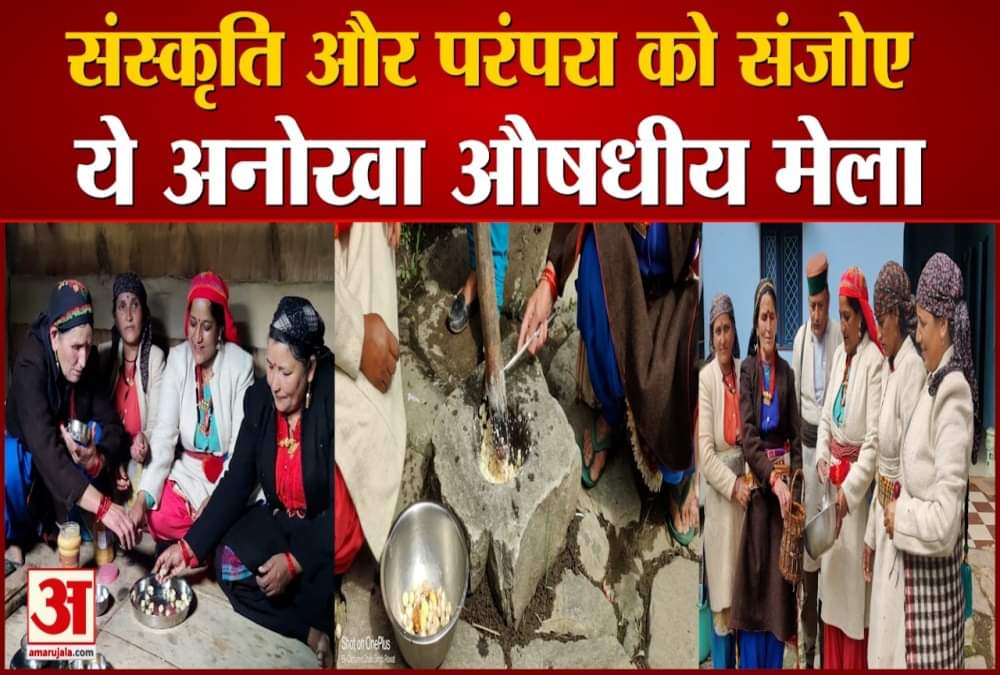 औषधीय मेला