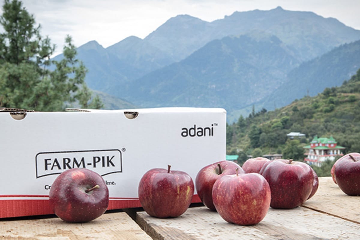 Adani Group Company Adani agri fresh procures 2500 tons of apples from farmers