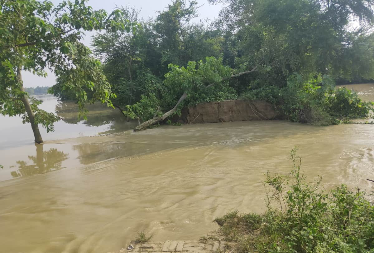 painful story of flood affected villagers in gorakhpur after Bharwalia Basawanpur dam broken