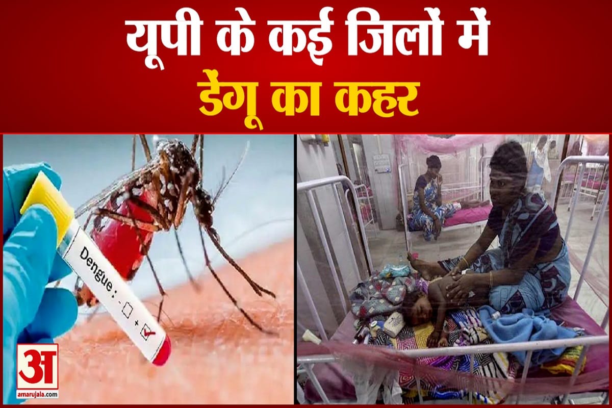 Double attack of infection most deadly strain of dengue DENV-2 entrey in Purvanchal scientists from IMS BHU