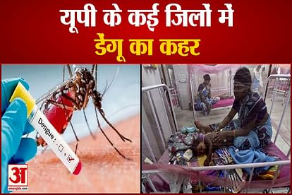 dengue cases increases in up