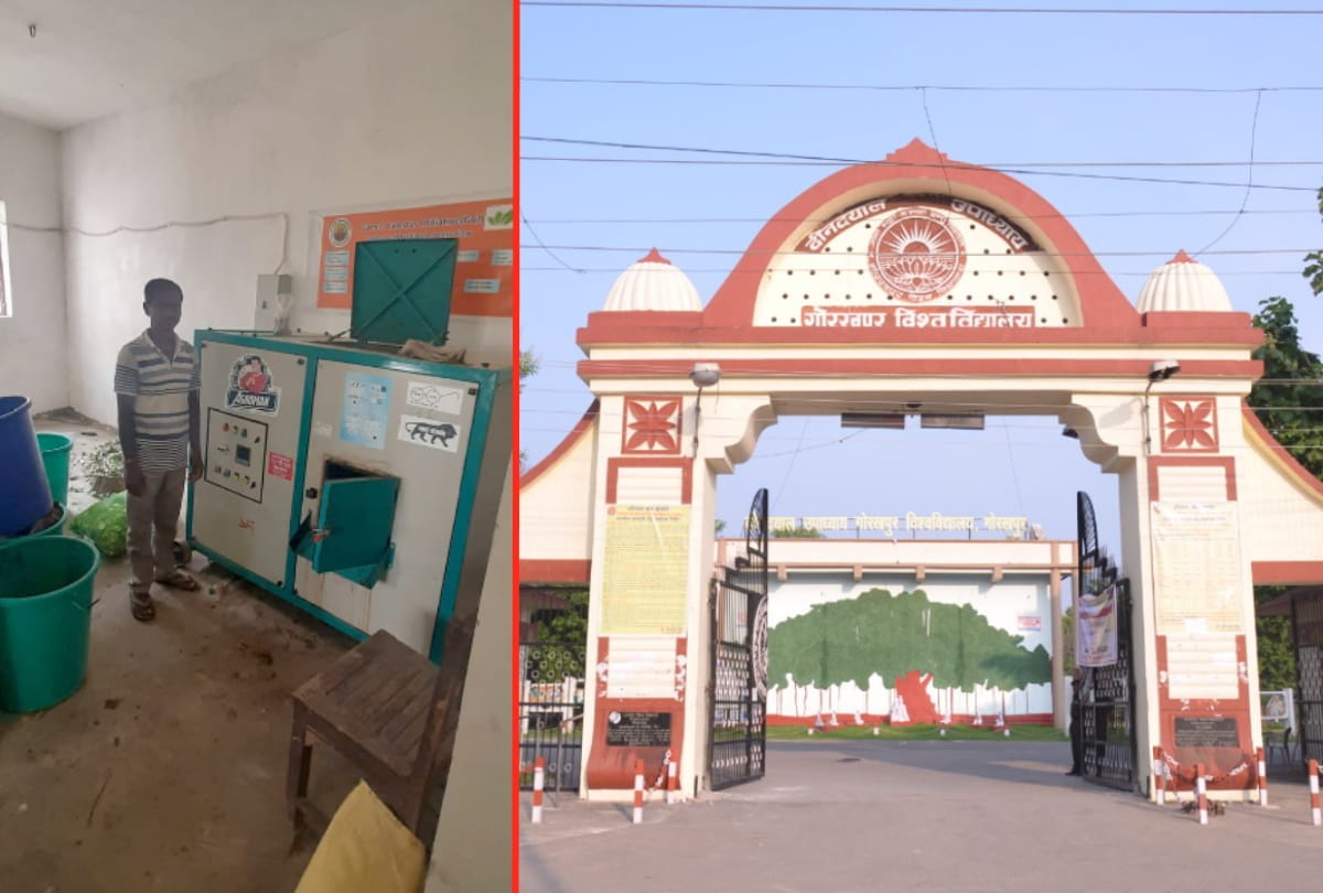 First startup started in DDU Gorakhpur by making compost from waste