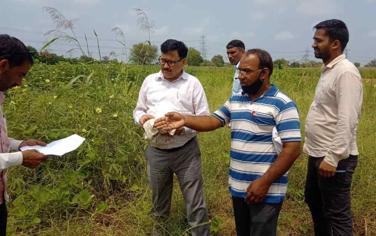 At the time of Girdawari, enter the details of crops carefully, Patwari: Tehsildar