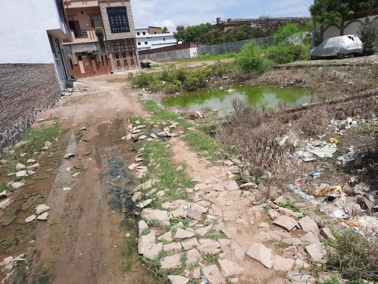 water gathering in open plot
