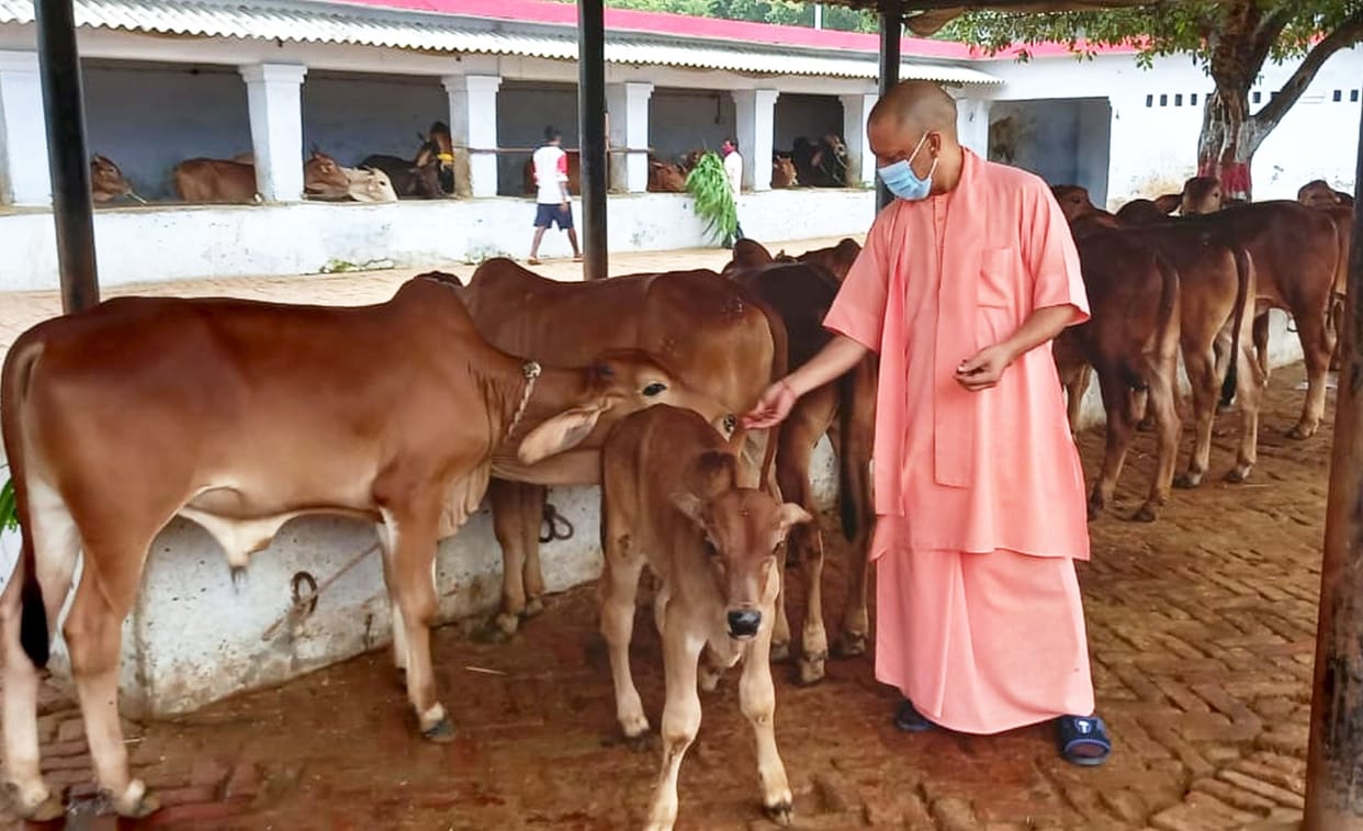 After Shakti worship and cow service, CM left for Siddharthnagar