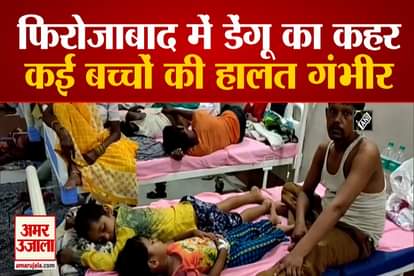 Dengue outbreak in firozabad, over 400 children hospitalized