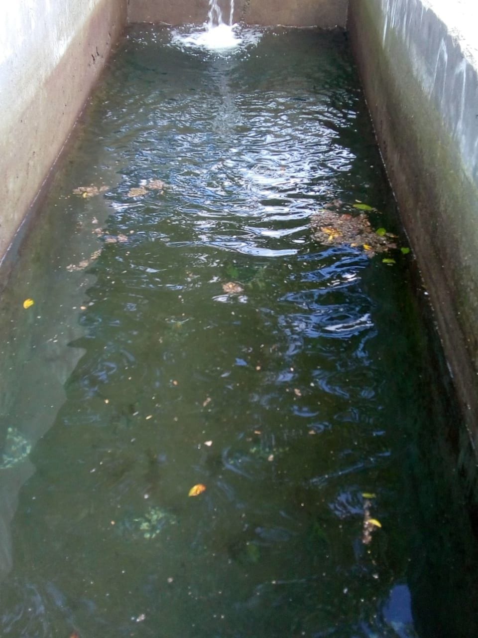 contemnated water supply for pangi panchyat people kinnaur by jal shakti vibhag