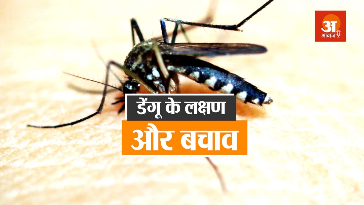 Tips to Protect yourself from Dengue Fever, Follow These Things to stay Safe