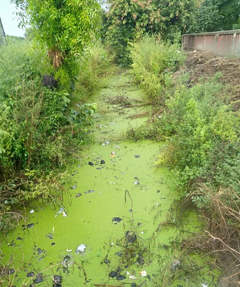 Complaint till CM, yet the drain and pond were not cleaned