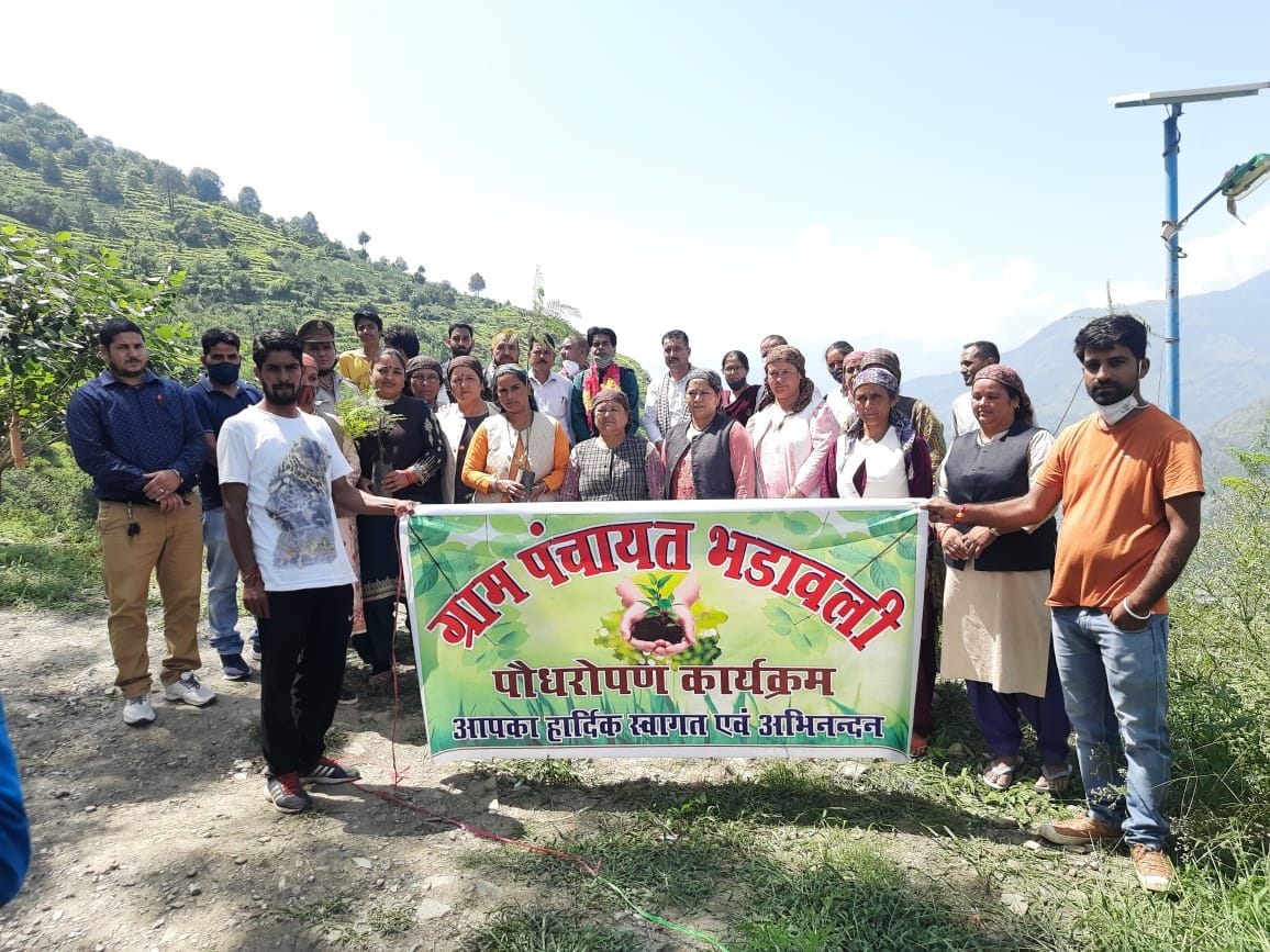 plantation drive in bhadavali rampur