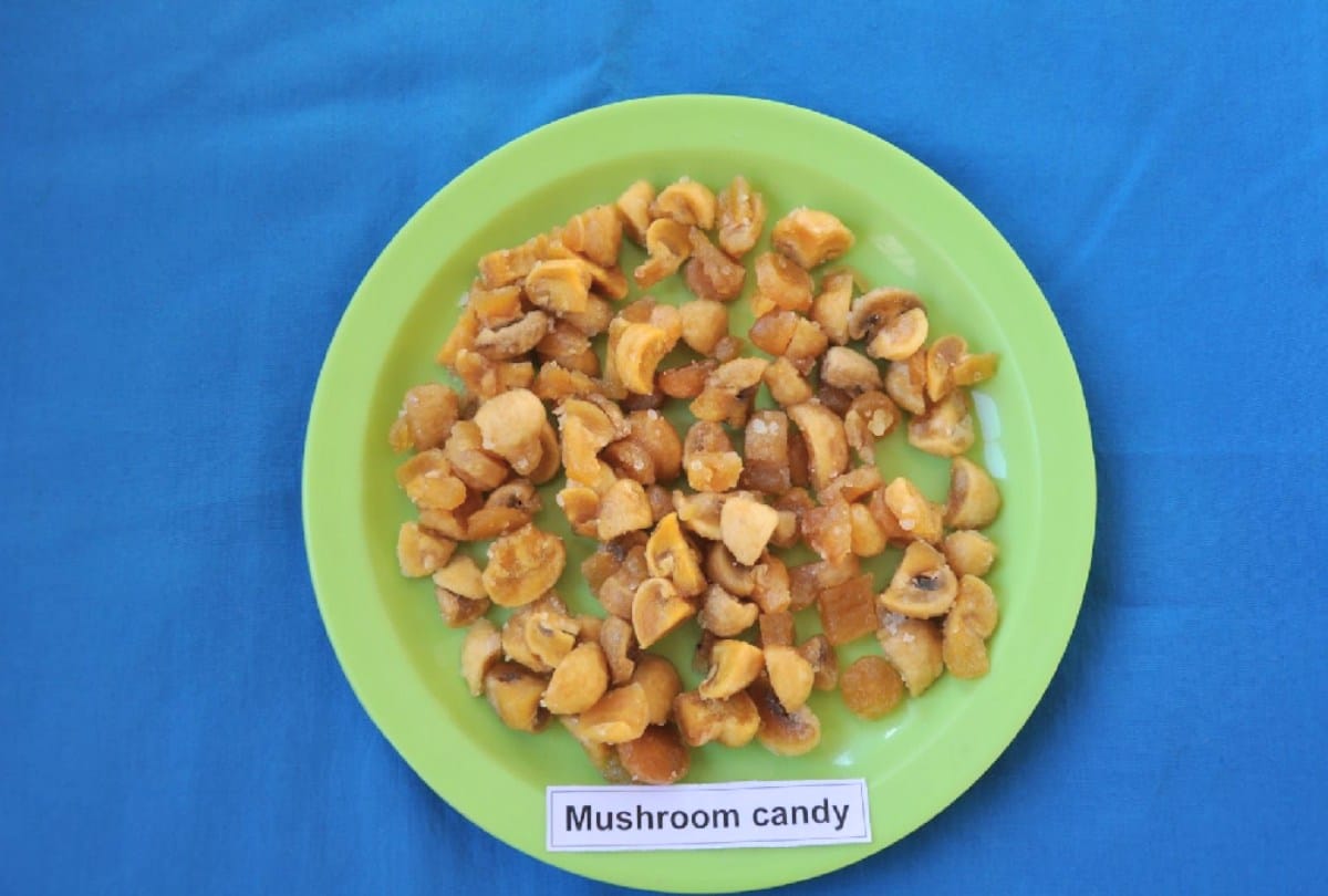 Mushroom toffee rich in protein and vitamins is ready, now children's teeth will not be spoiled