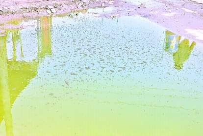 Agra Viral Fever News: administration is not serious in the cleanliness of the Agra