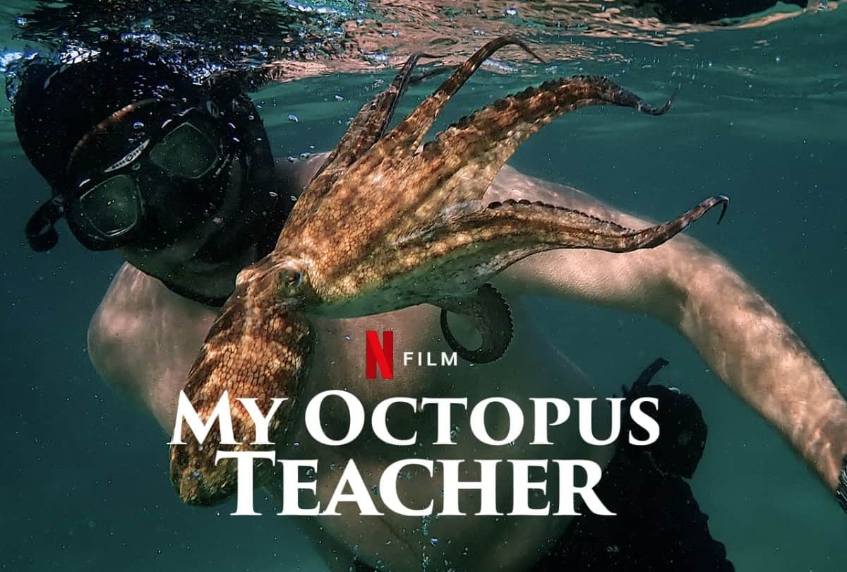 Know all about the best eight films on Netflix about teachers and students on teachers’ day in India