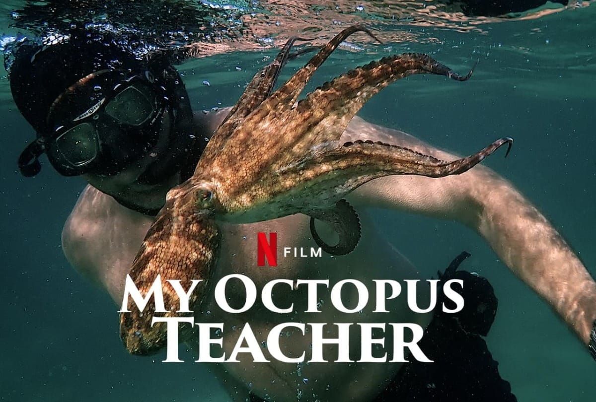 Know all about the best eight films on Netflix about teachers and students on teachers’ day in India