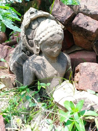 आगरा। बाह के गढ़वार टीले पर रखी प्रतिमाएं। संवाद