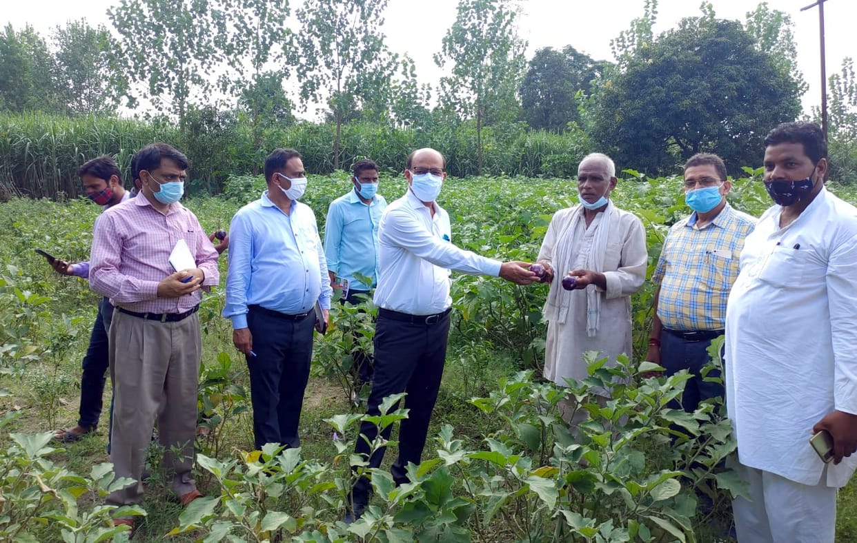 organic farming encouraged