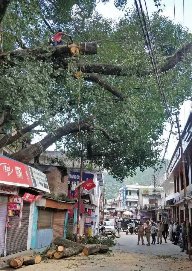 Traffic in station road remained closed for the whole day for cutting branches of peepal tree