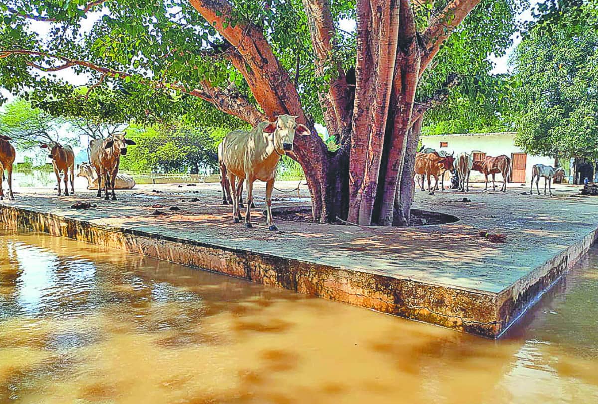 Flood of deoria Water filled in Devraha Baba ashram
