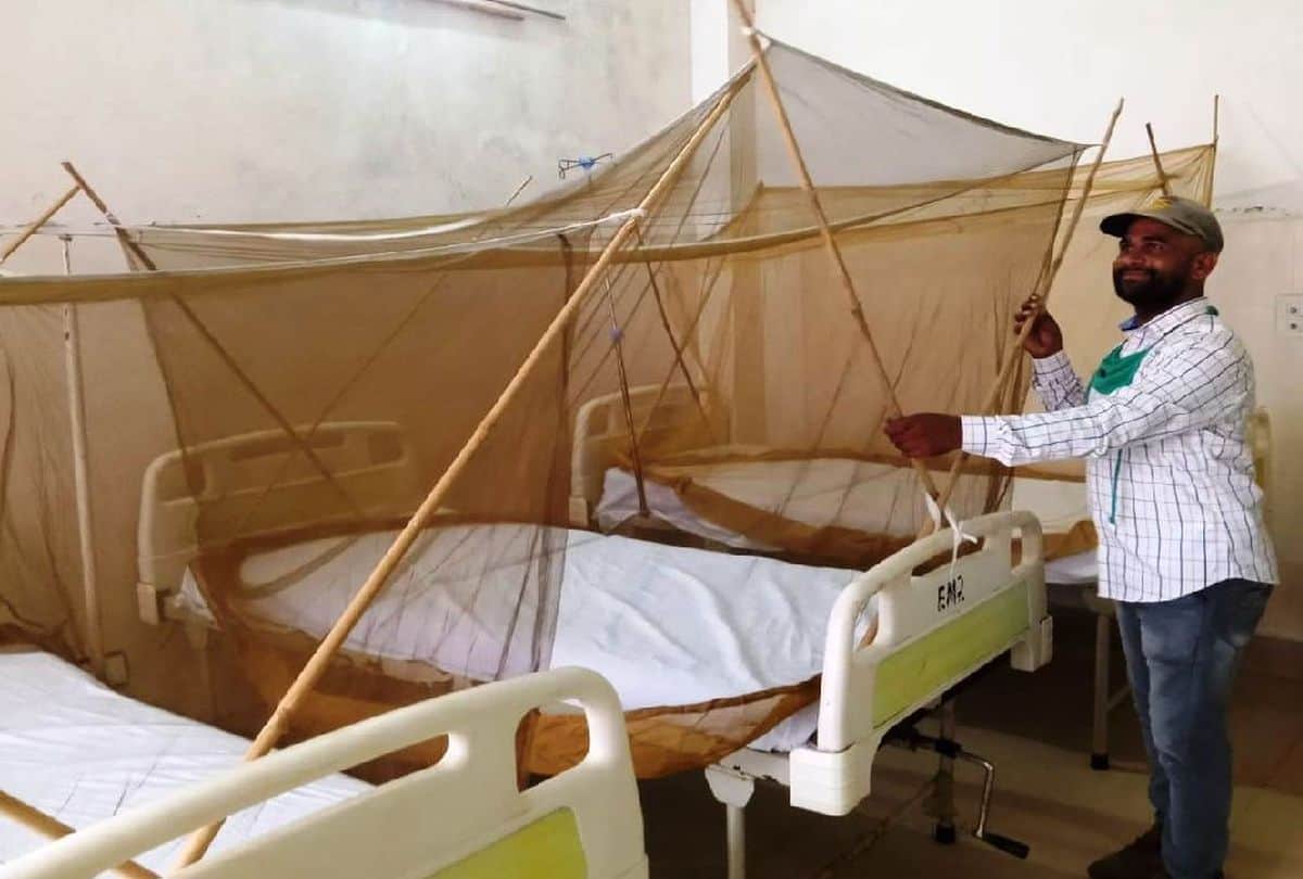 Death From Dengue And Viral Fever In Agra Divison Total Fifteen Patiens Die