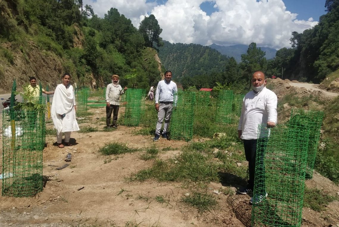 Dumping site will be seen transformed into a green forest