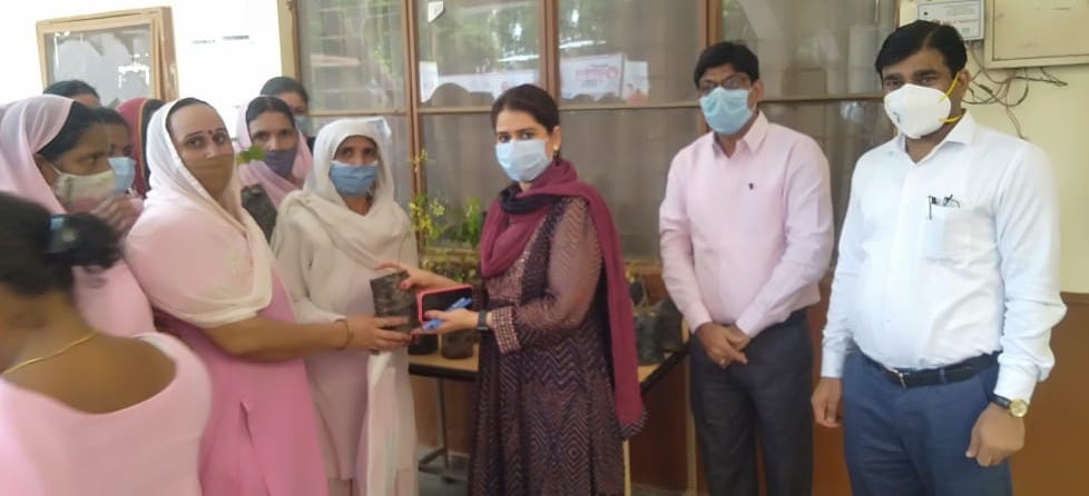 Drumstick plants distributed to Anganwadi workers