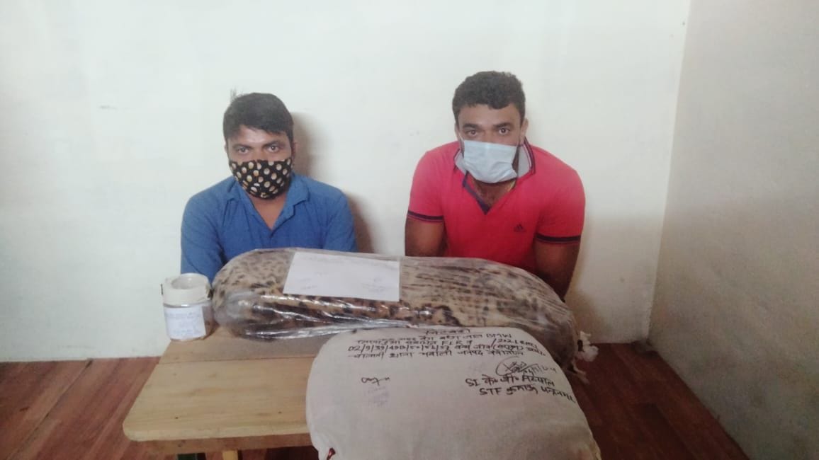 Two arrested with Guldar's skin and teeth
