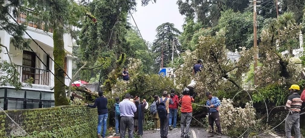 Huge tree fell near High Court, jammed