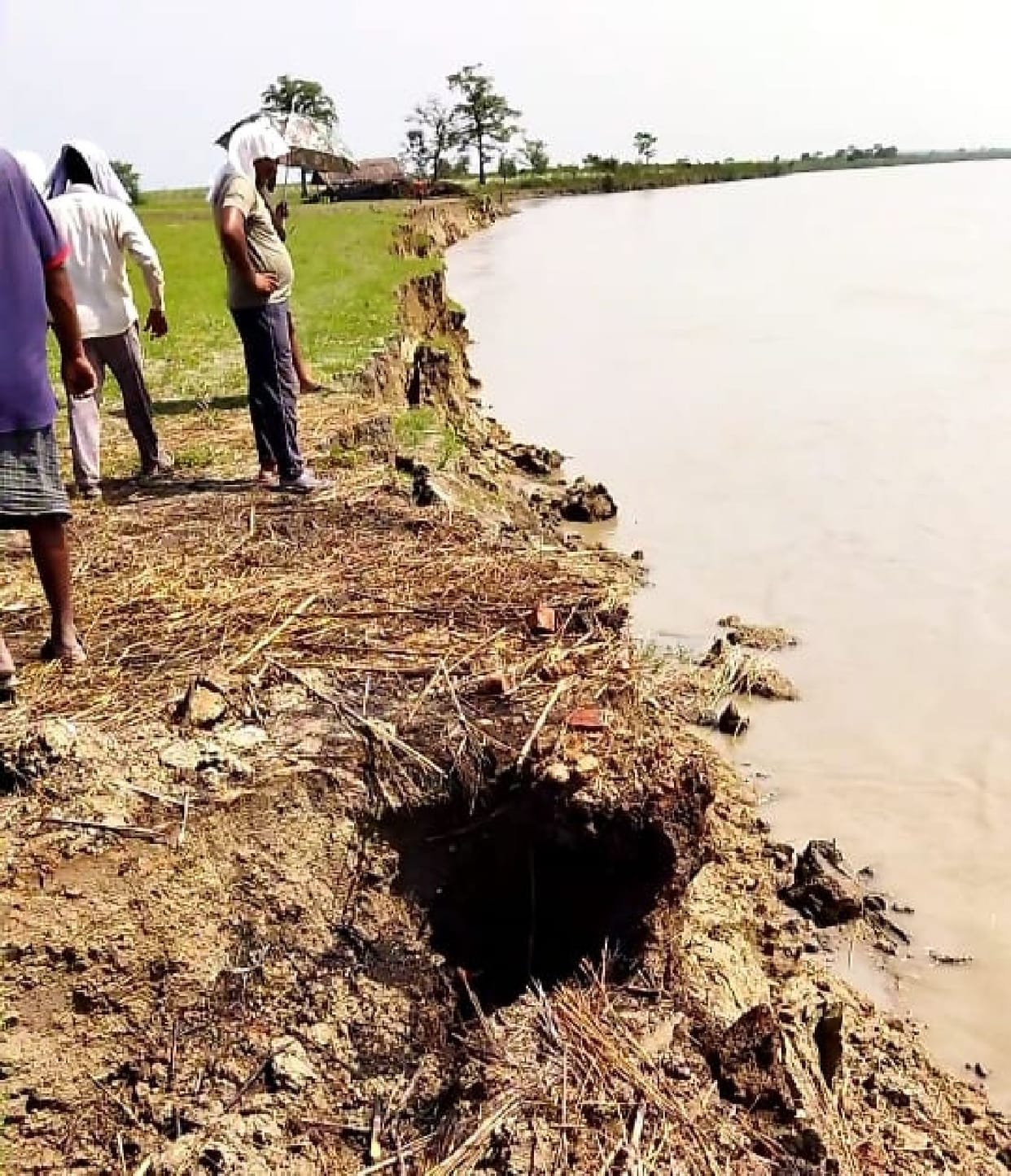 35 bighas of land covered in river, crop ruined