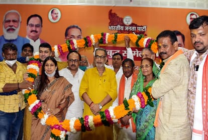 The way of development of the country goes through Uttar Pradesh: Radha Mohan