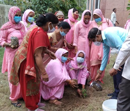Divisional commissioner inspected wool tehsil