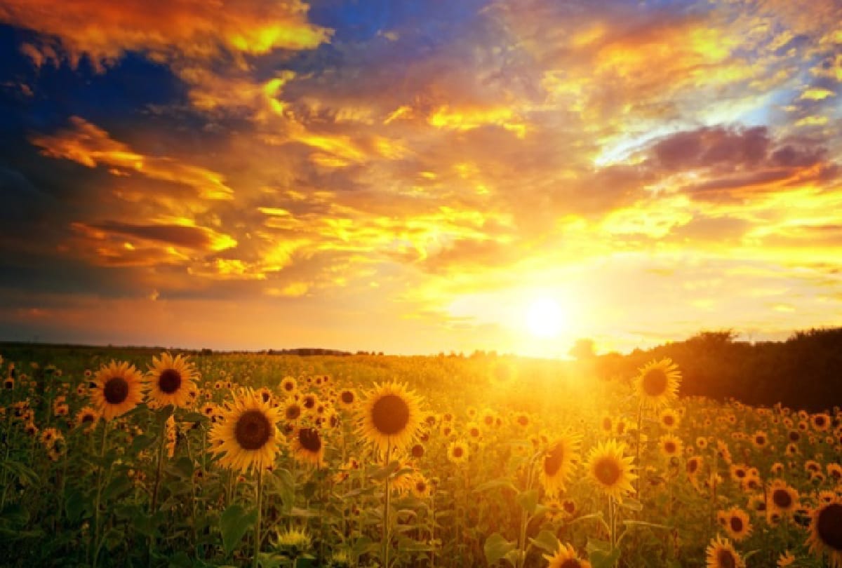 norway has only 40 minutes of night and sun never sets know why