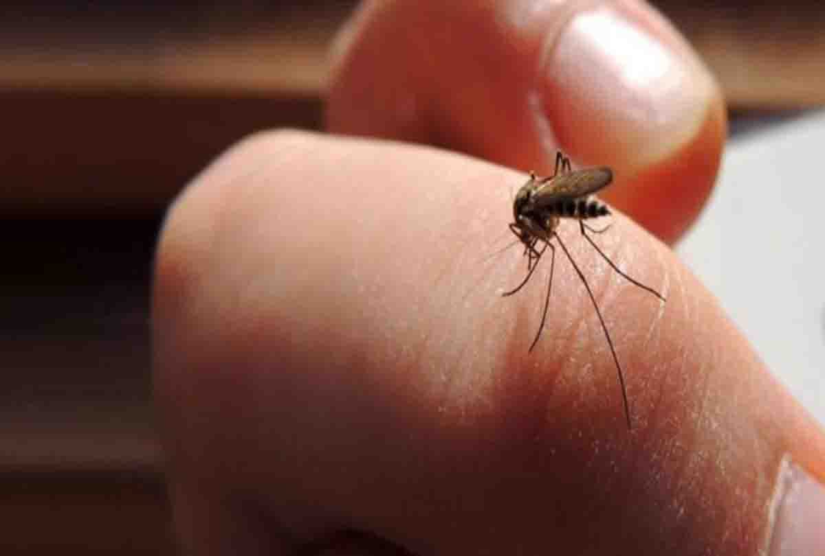 Kanpur: Panic due to dengue, 25 people left the village