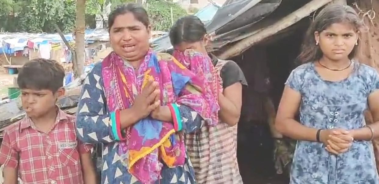 Forest department freed monkeys, family's tears spilled