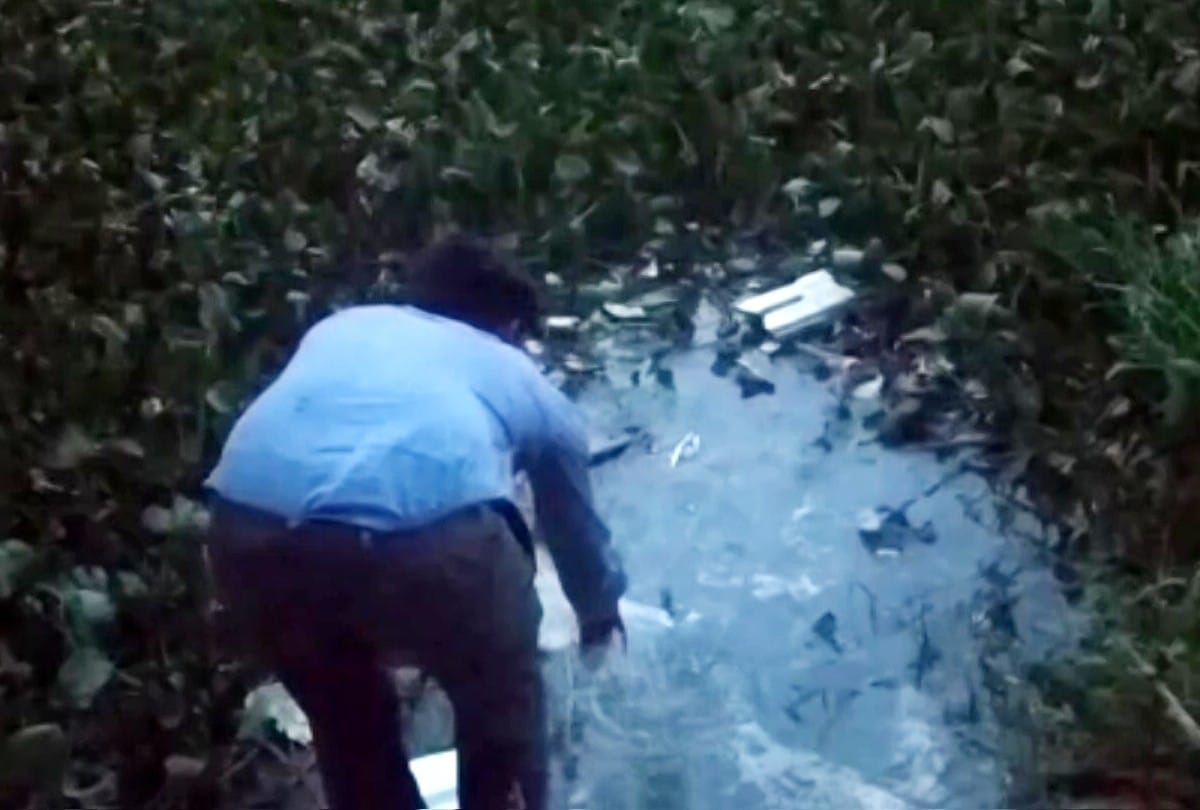 Firozabad Viral Fever Dengue News: Gambusia fish released in the ponds to prevent dengue in firozabad