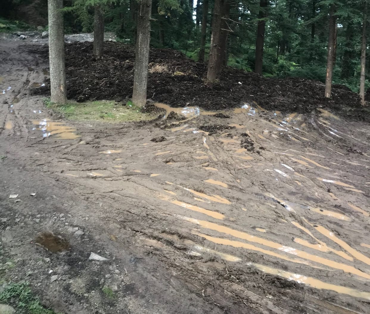 muck thrown in Khajjiar parking