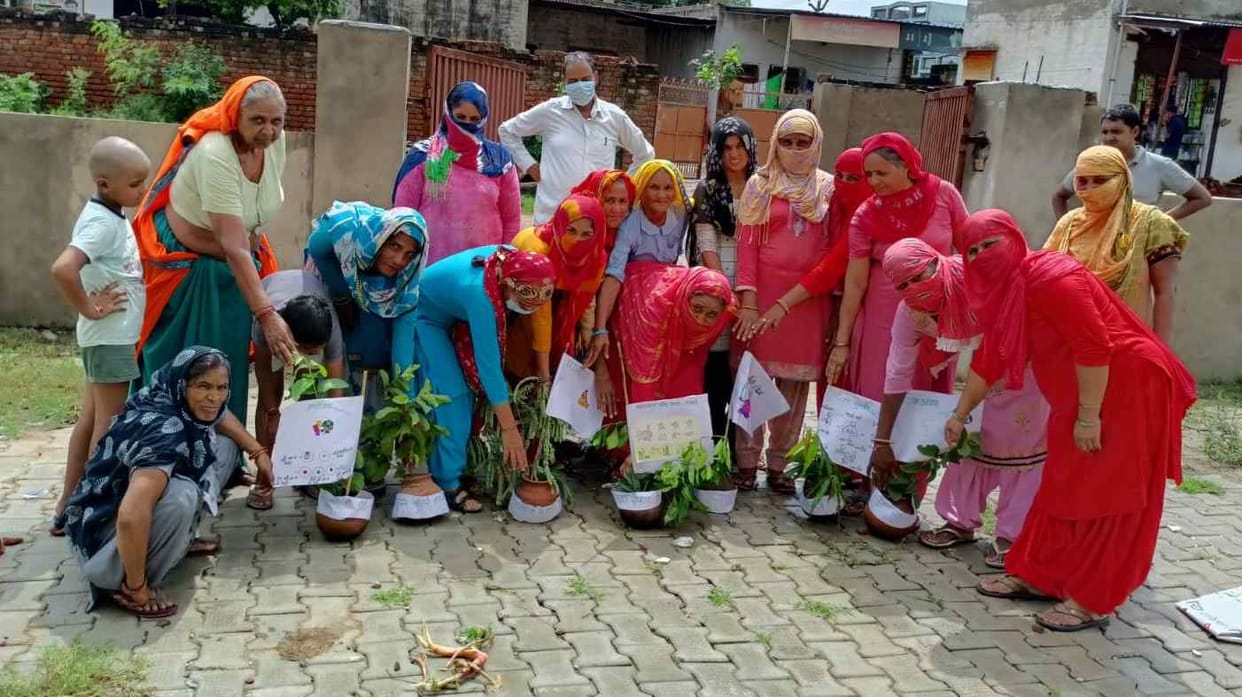 Message of nutrition given by making Rangoli of fruits and vegetables