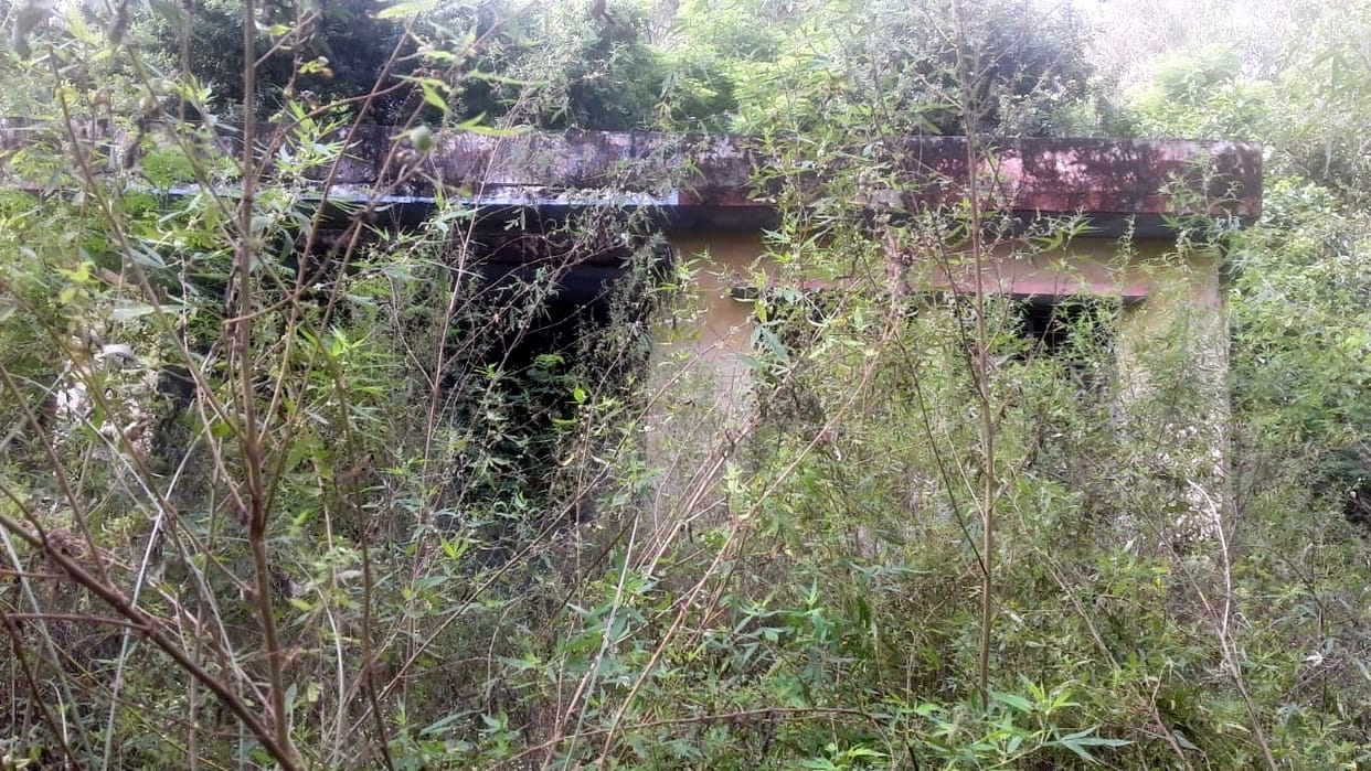 Animal hospital built at a cost of fifty lakhs lost in the bushes