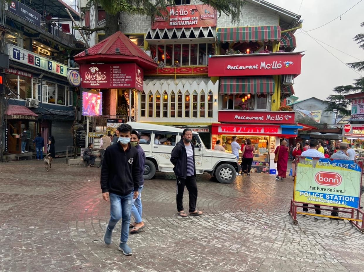 After seven weeks, tourism business started back on track