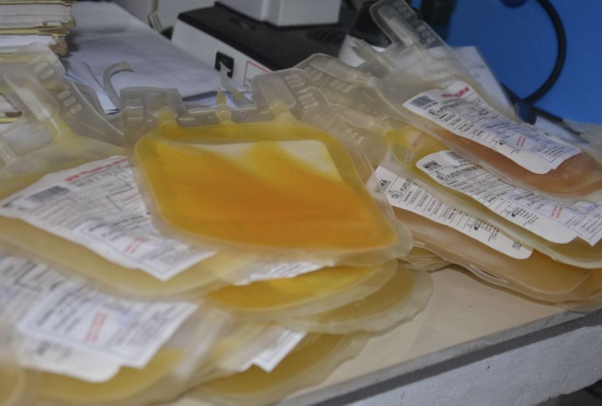 Five dengue infected found in Gorakhpur