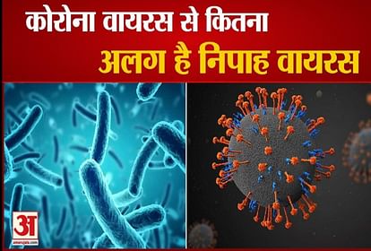 निपाह वायरस