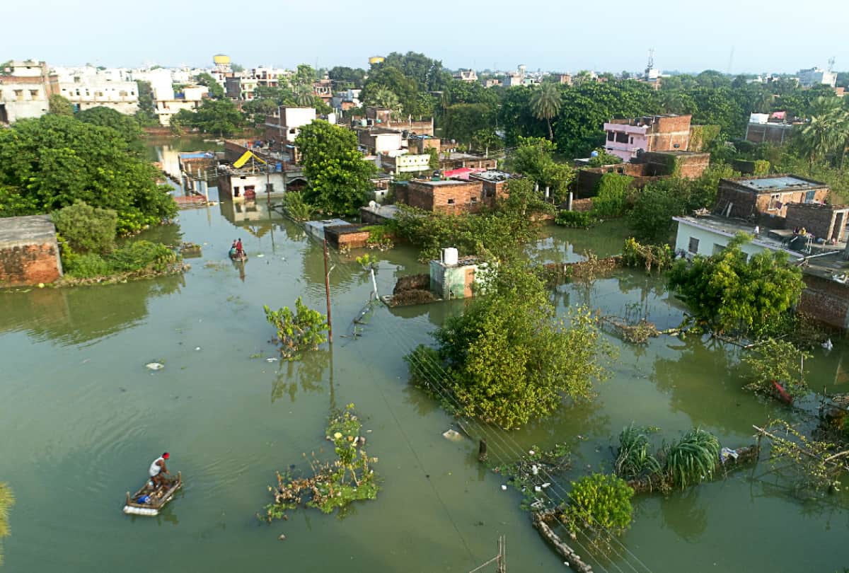 Gorakhpur Flood News: painful story of flood affected people and cattle also hiding in single piece of plastic