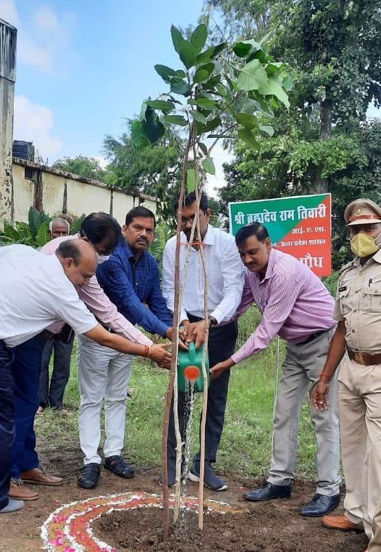 Special secretary inspected after planting saplings